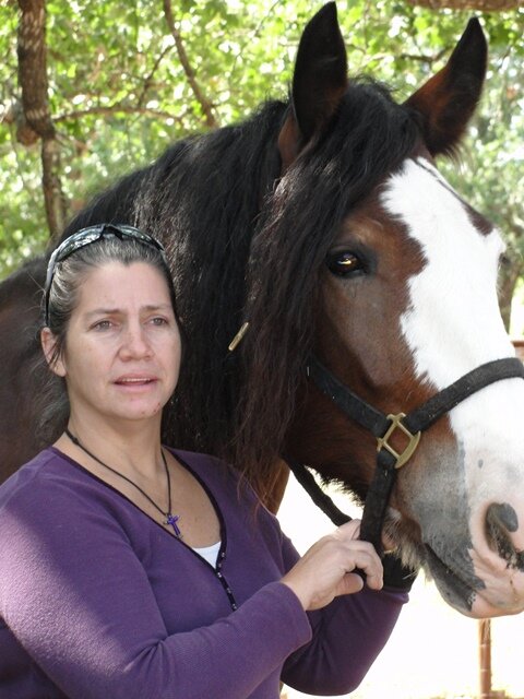 circlecjfarm's profile picture. Friesian Sporthorse, APHA/AQHA horses, Angus cattle, & Boer goats, Akbash & Texas Lacy Dogs.
