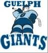Non for profit hockey team for athletes with intellectual disabilities. Opportunity to play and be part of team regardless of gender or ability to skate.