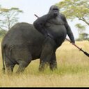 Mac Gordon - @nmg07c - Twitter