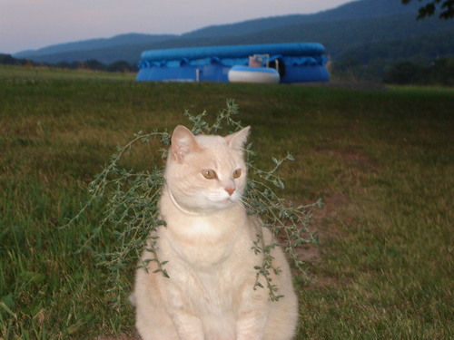 CourtCourt2014's profile picture. 