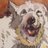 aguayoestudio's profile image
