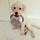 Mina Laura - @MinaLaura1 - Twitter