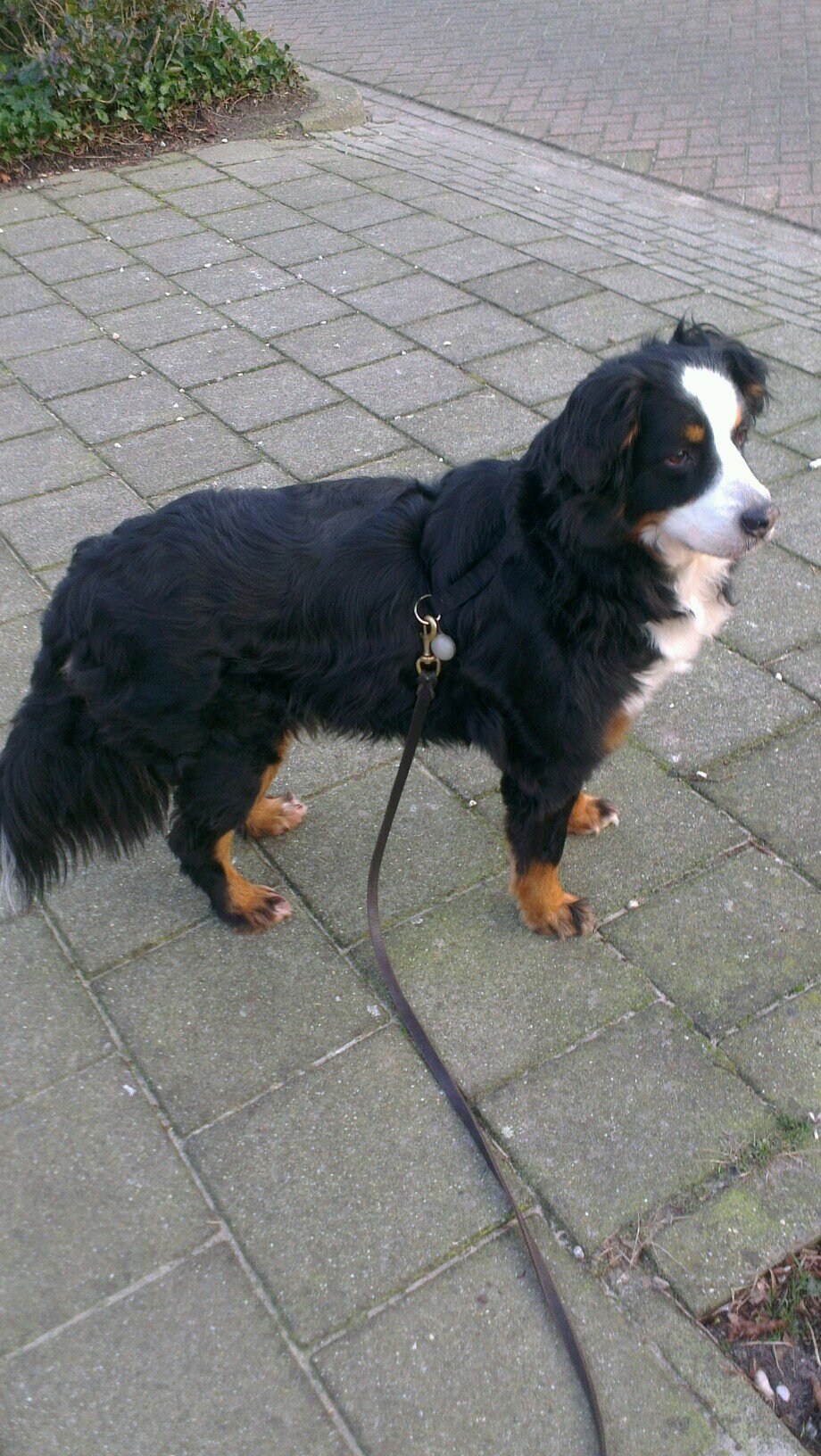 yvonnekyra's profile picture. 