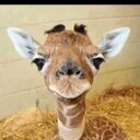 Lance Weeks - @WeeksLance - Twitter