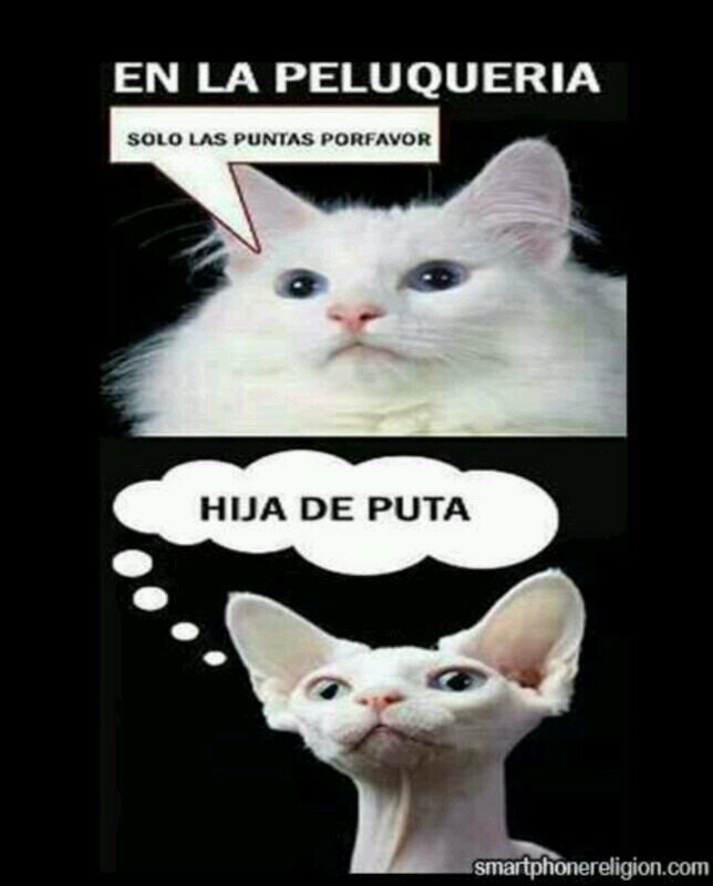 Imagenes Interesantes Para Twitter | frases interesantes otherword22 twitter Imagenes Interesantes Para Twitter | frases interesantes otherword22 twitter