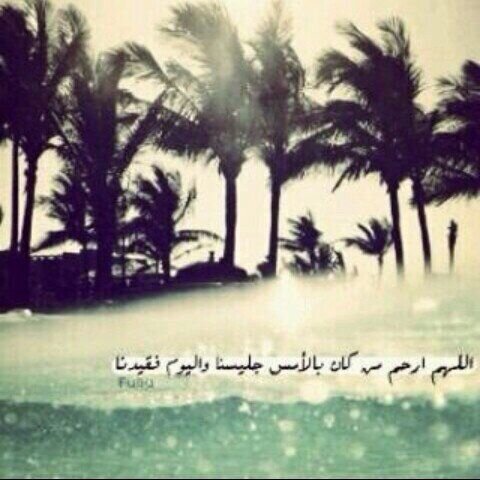 هذا الحساب صدقه لي أبي آمنت ب ان الحب دعاء فلم أنساك يوماً من دعواتي اللهم اجعل كل م أكتب ف هذا الحساب يشفع له و يكفر له اللهم أرحم أبي
