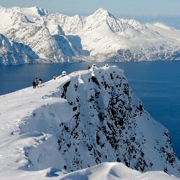 selatin_norvec's profile picture. 