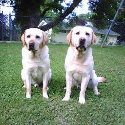 URGoofy326's profile picture. 