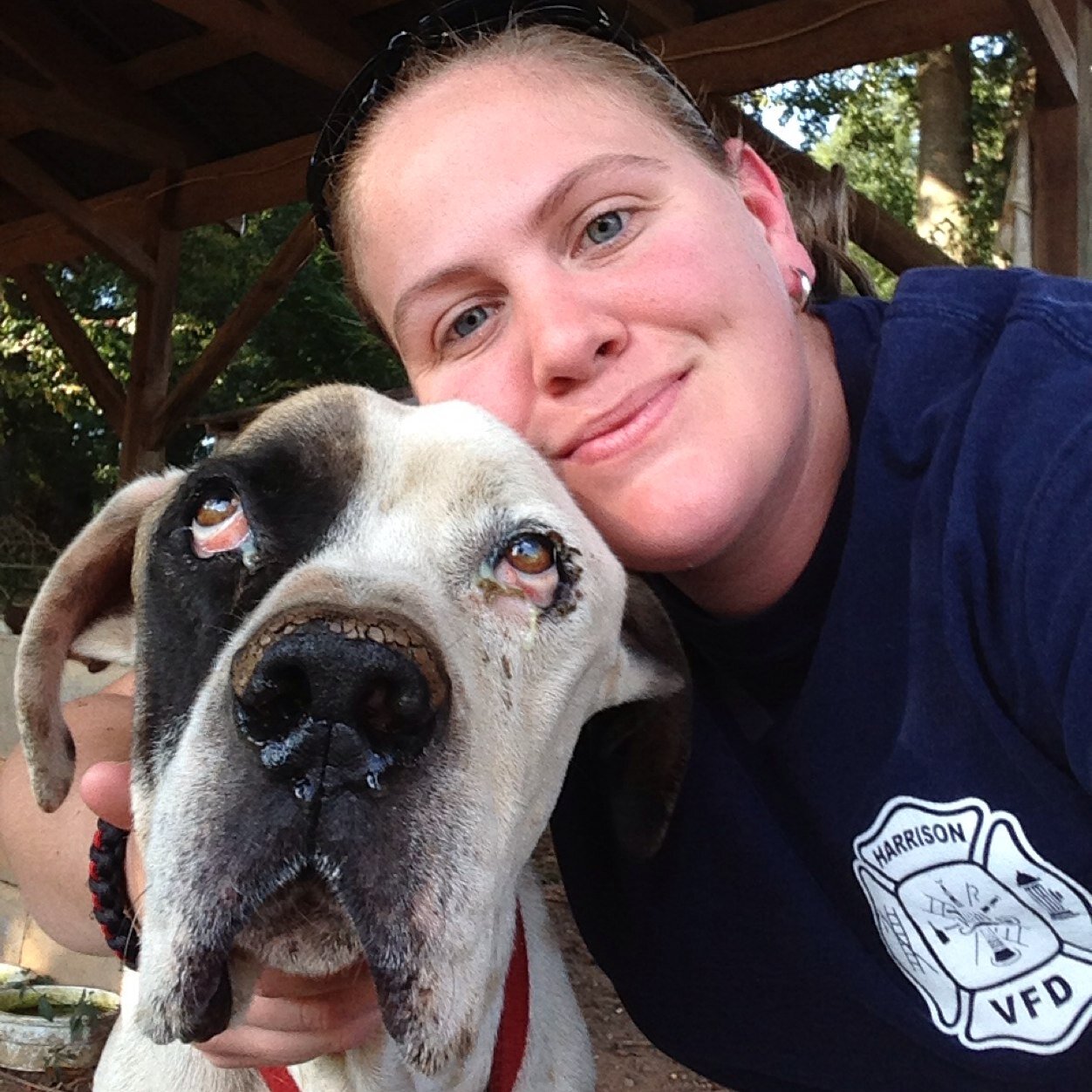 Ccrider1412's profile picture. 