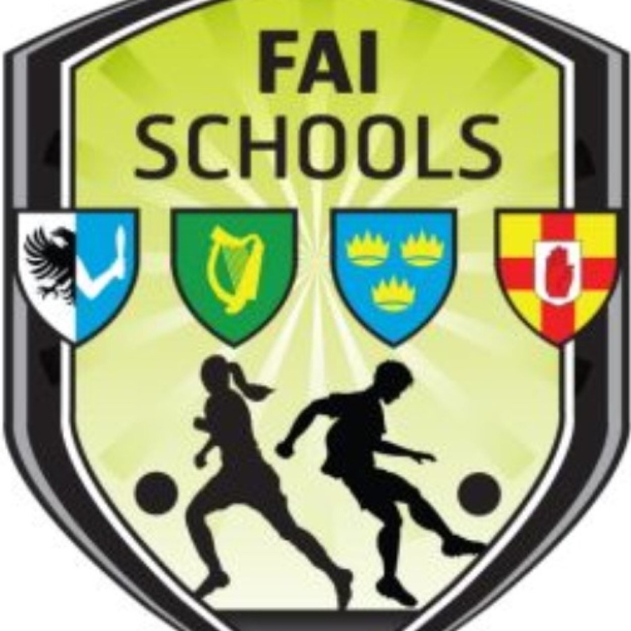 FAI Schools promotes the game of Association Football in Primary & Post Primary Schools