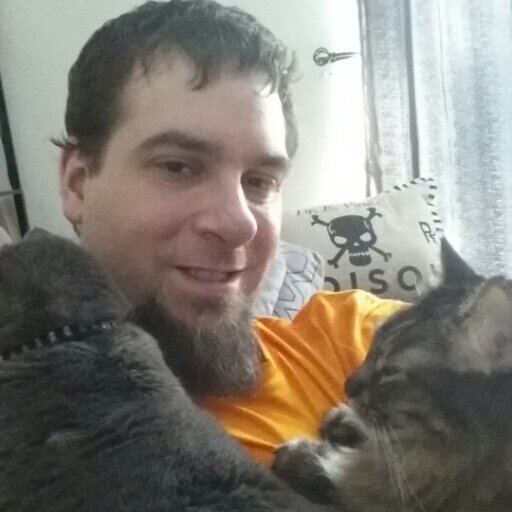 Crazy Cat Man by trade. Work in telecom to pay the bills. My life is cats, Anime, video games, and work. When cats rule the world, I'll finally be proven right.