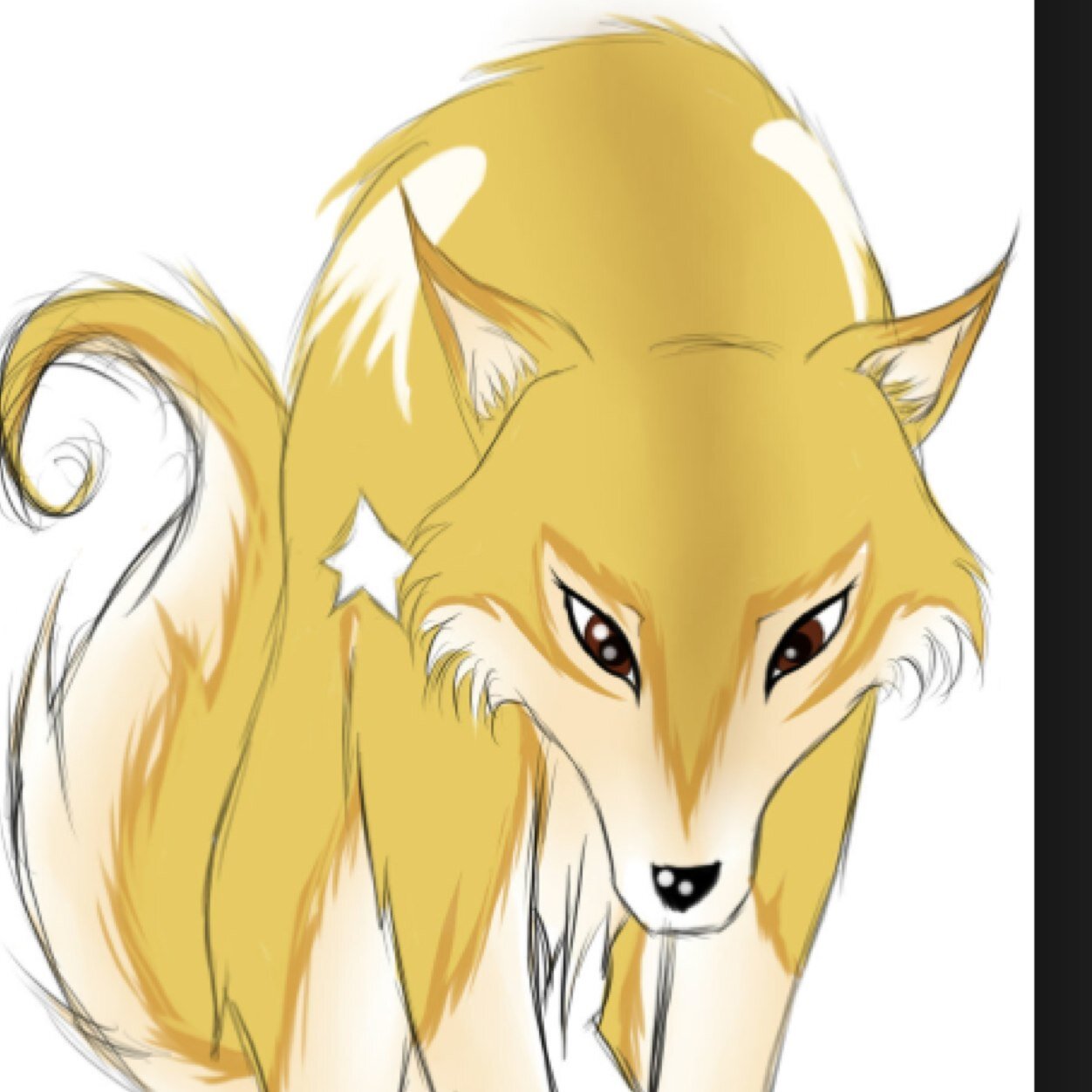 Soul_wolf1's profile picture. A golden wolf with light brown eyes #female (pack:bluemoon) (mate:@nightsoul101) wandering in the forest #RP