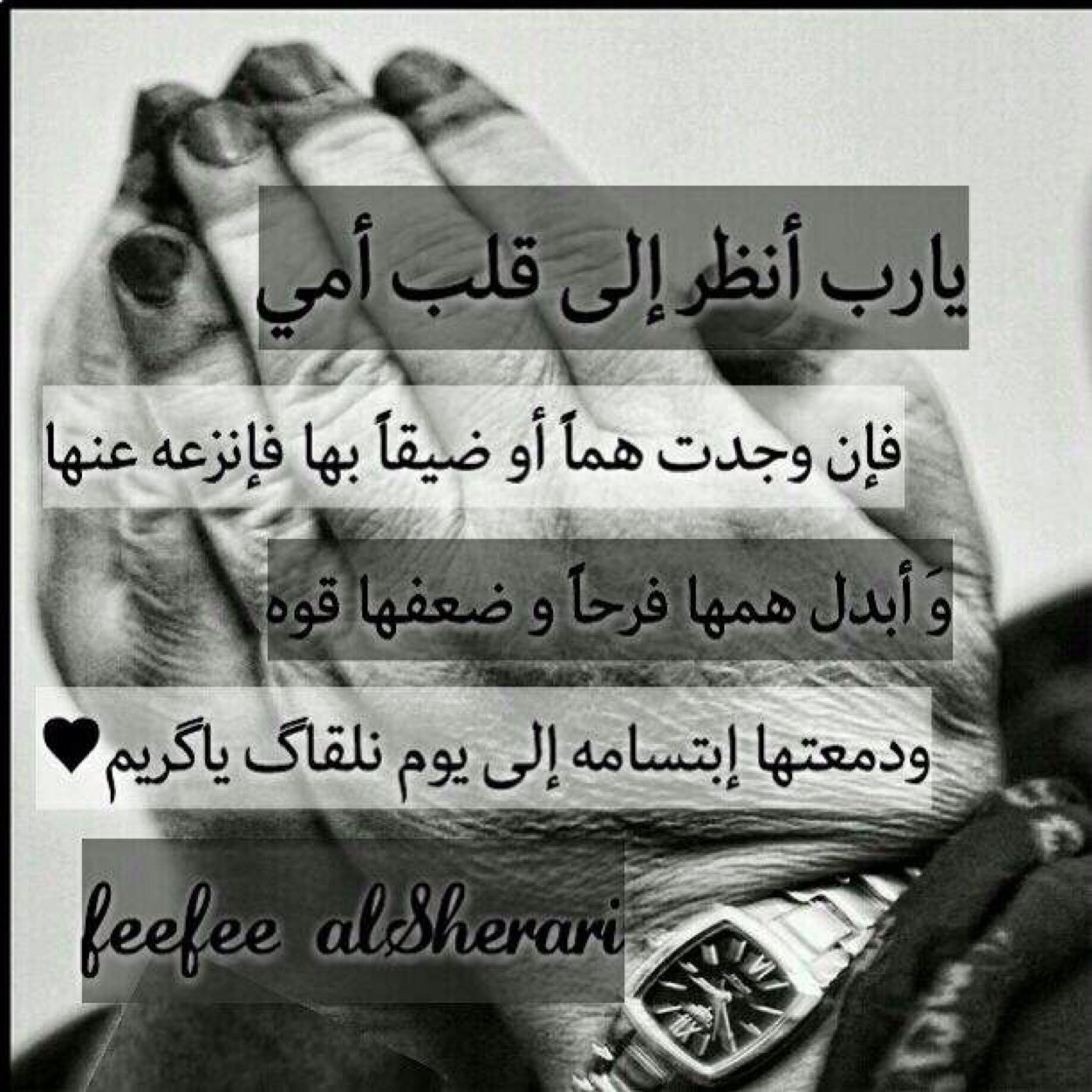 e77sas30's profile picture. Just say ,,, ya Allah..