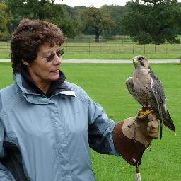Hull Seahawks Fan and International Woman of Mystery & Couch Potato