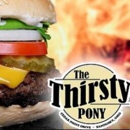 TheThirstyPony's profile picture. Located at the entrance to Cedar Point. Only off track betting site in Ohio.  Come for the food, stay for the fun!
419-626-6761 1935 Cleveland Rd. 44870