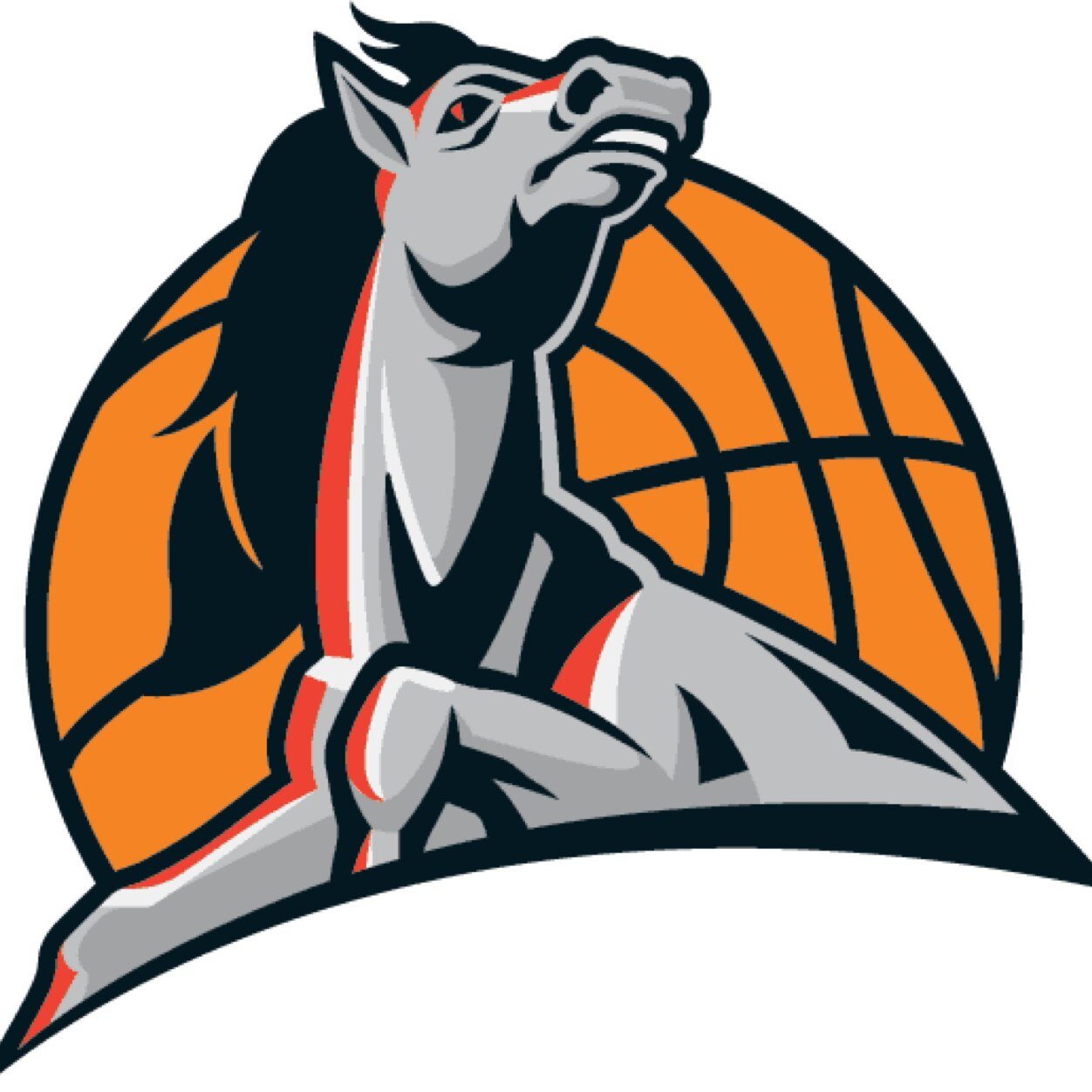 We ball all day everyday. The horse represents the kid who cant be stopped. The kid who cant be contained-
                                               FB/DC