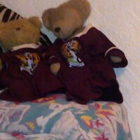 georgebear (@imgeorgebear) 's Twitter Profile