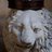 Taming of the Lion
