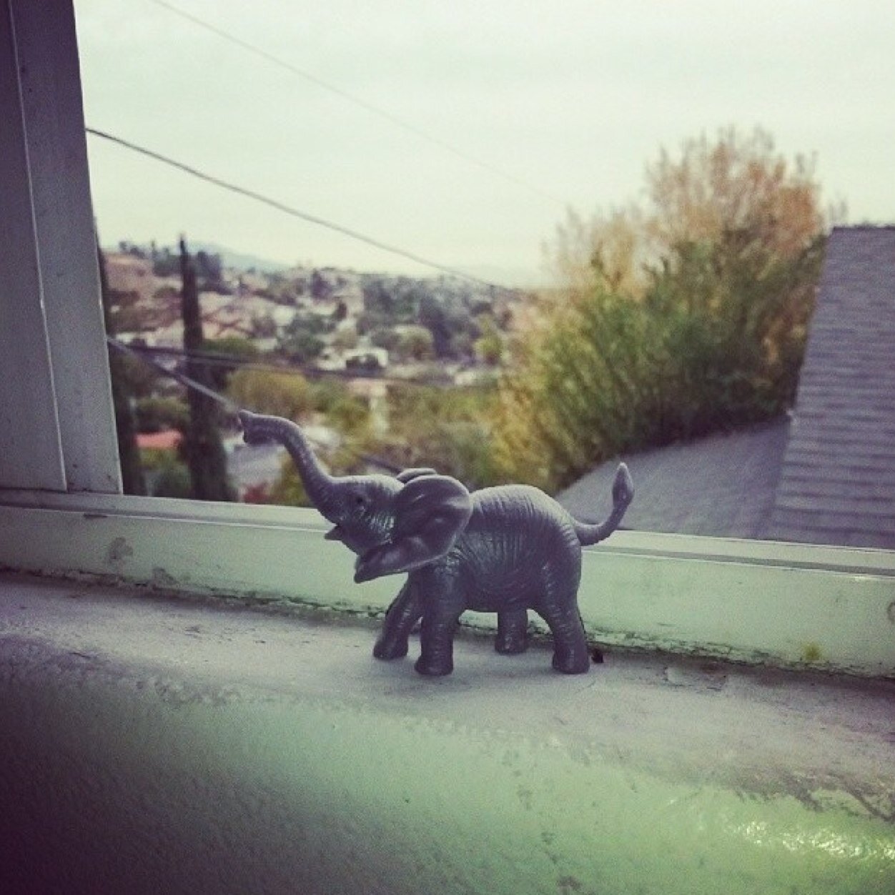 ElephantHillMus Profile Picture