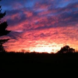 jcuzzieman's profile picture. 