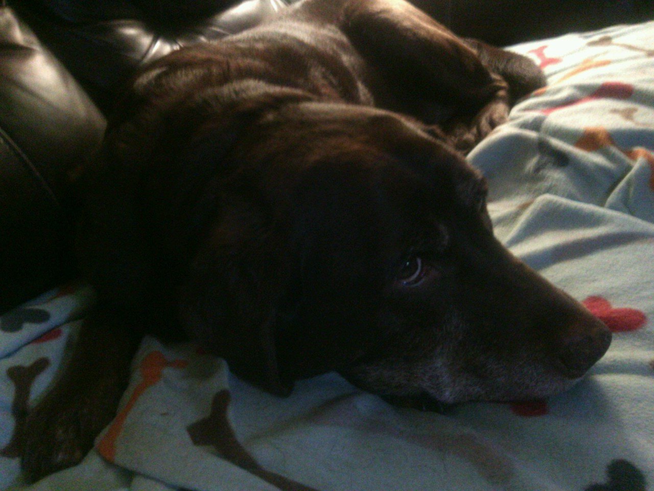 GFinch62's profile picture. 