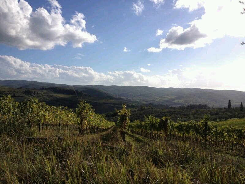 Jennifer_ae's profile picture. It always seems impossible until its done. - Nelson Mandela