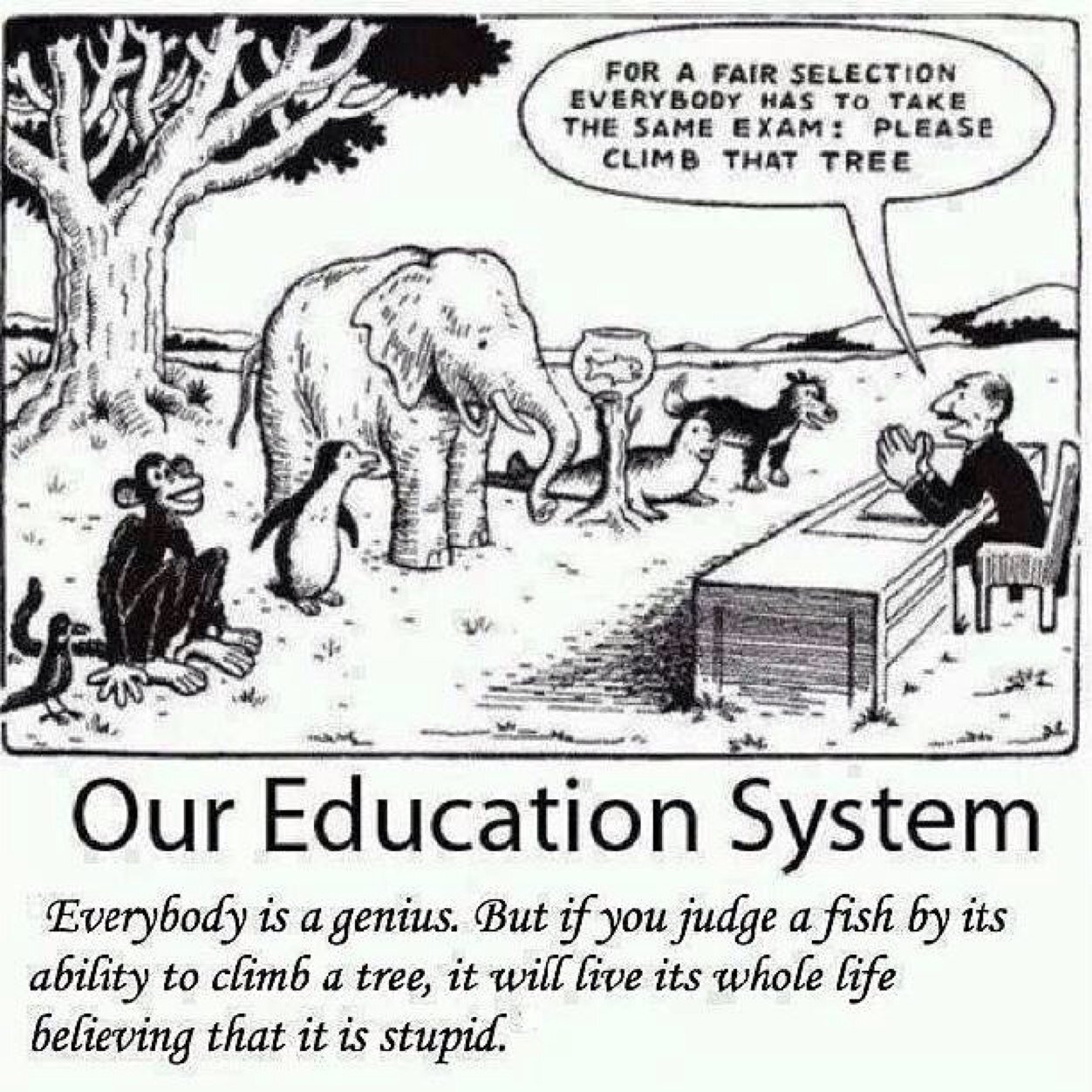 Jordz6681's profile picture. 