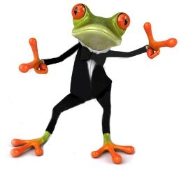 FrogQuality's profile picture. Diseño de imagen corporativa, material POP y sublimación digital.