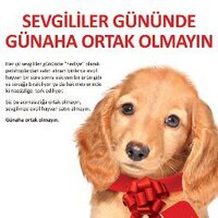 HAYTAP (@haytap_org) Twitter profile photo