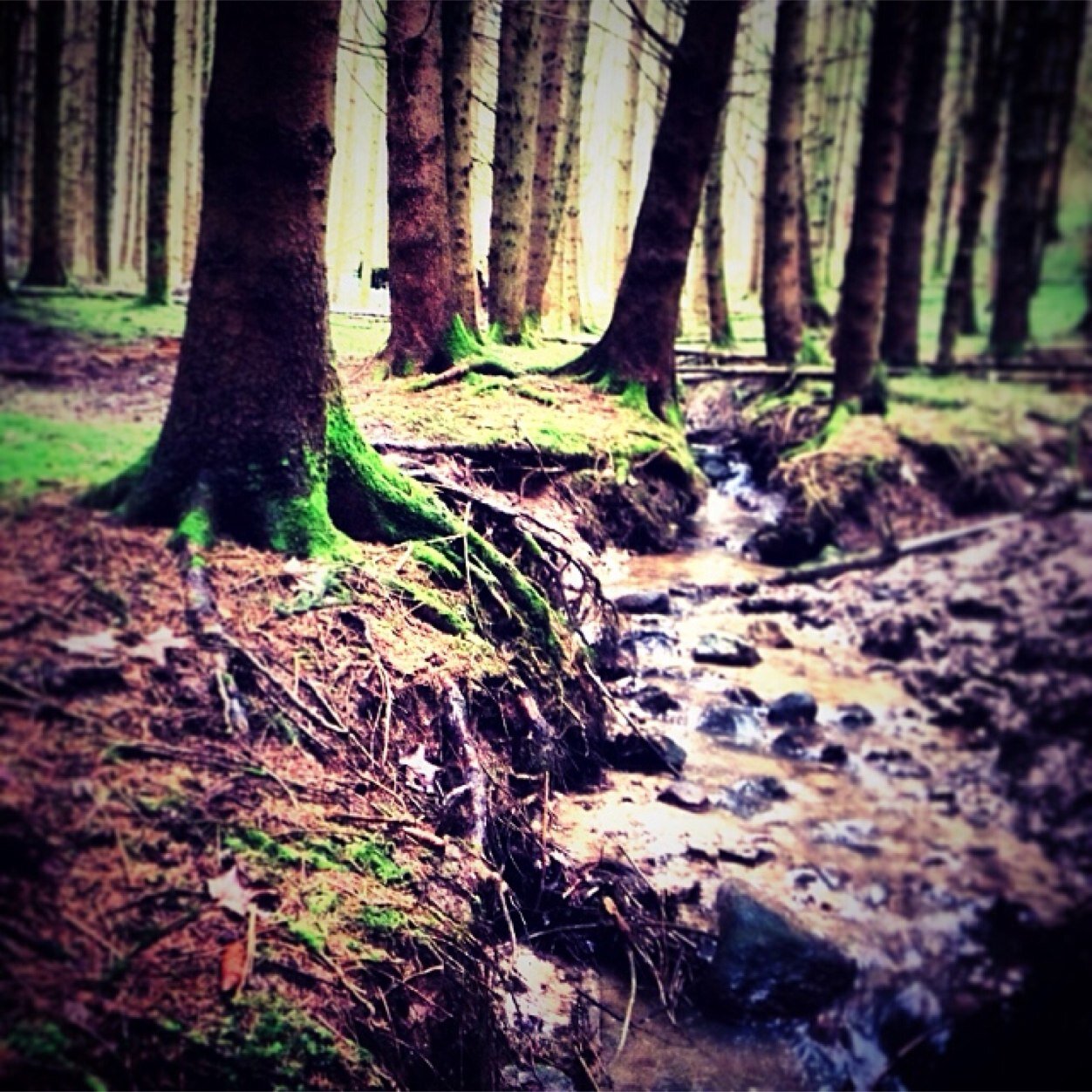 phototiftif's profile picture. Si tu aime la photo cest par ICI  il y aura Une photo postée tous les jours