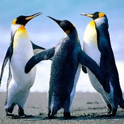 Just waddling through life,  Be yourself no matter what anyone says!