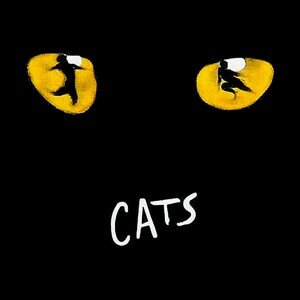 Cats fan page ////CATS WORLD////                                              Official page : @CatsMusical