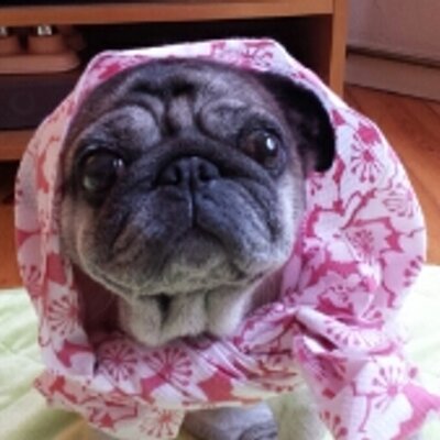 小春日和 小春日和 (@koharumiko) / Posts / X