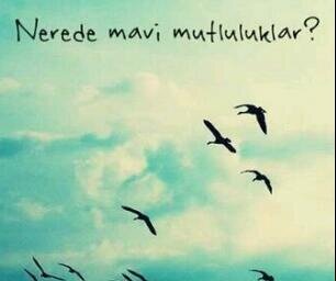 SARILACİVERT  tanısan çok seversin ..