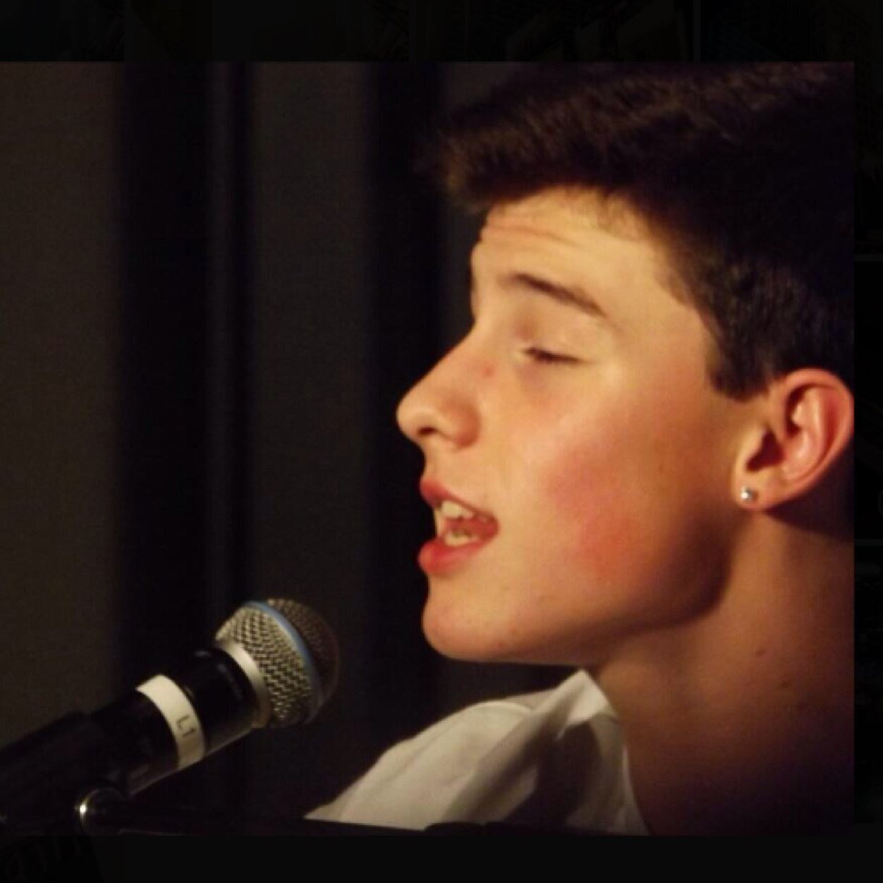 Shawn Mendes (ShawnnMendez) Twitter