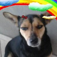 aaaaaaaaaaaaa (@brunoquerida) 's Twitter Profile