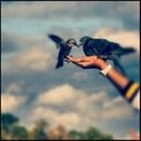 لِ آبي (@021Ree) Twitter