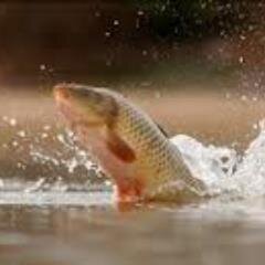 New French lake coming soon,10 free holidays for two to give away, All who follow lac laila will go in draw for holidays, I don't use True Twit validation