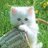 jl_etty's profile image