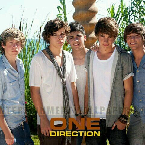 I love one direction