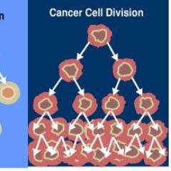 Alternative Treatment for Cancer and other diseases. From Cannabis to Nutrition Based Treatment, the fight can be a bit easier.