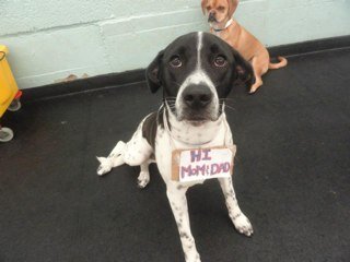 Jeniffer501aG's profile picture. 