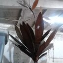 bobby may - @bmay_007 - Twitter