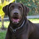 Kitty - @KittyMei_ana - Twitter