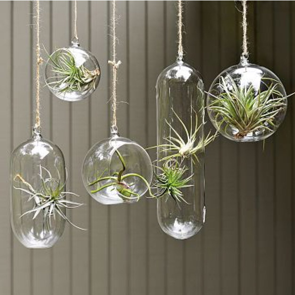 Piccola Pianta's custom terrariums are designed to accentuate your personal style. They add a touch of nature to any space!