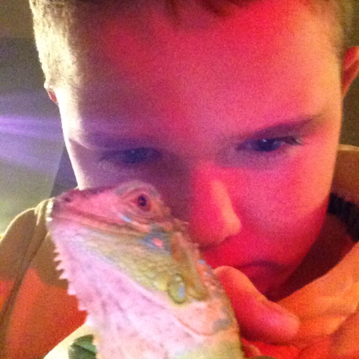 dracula1904's profile picture. 