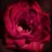 dr_eman_saleh's profile image