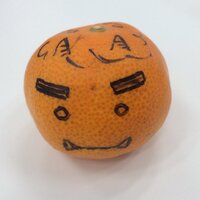 ルーシ♂ (@oshirigaitai) Twitter profile photo