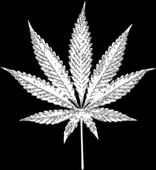 Promoting the legalization of #weed in the state of TN and the City of #Chattanooga. Would you smoke Chattanooga Weed? #LegalizeIt