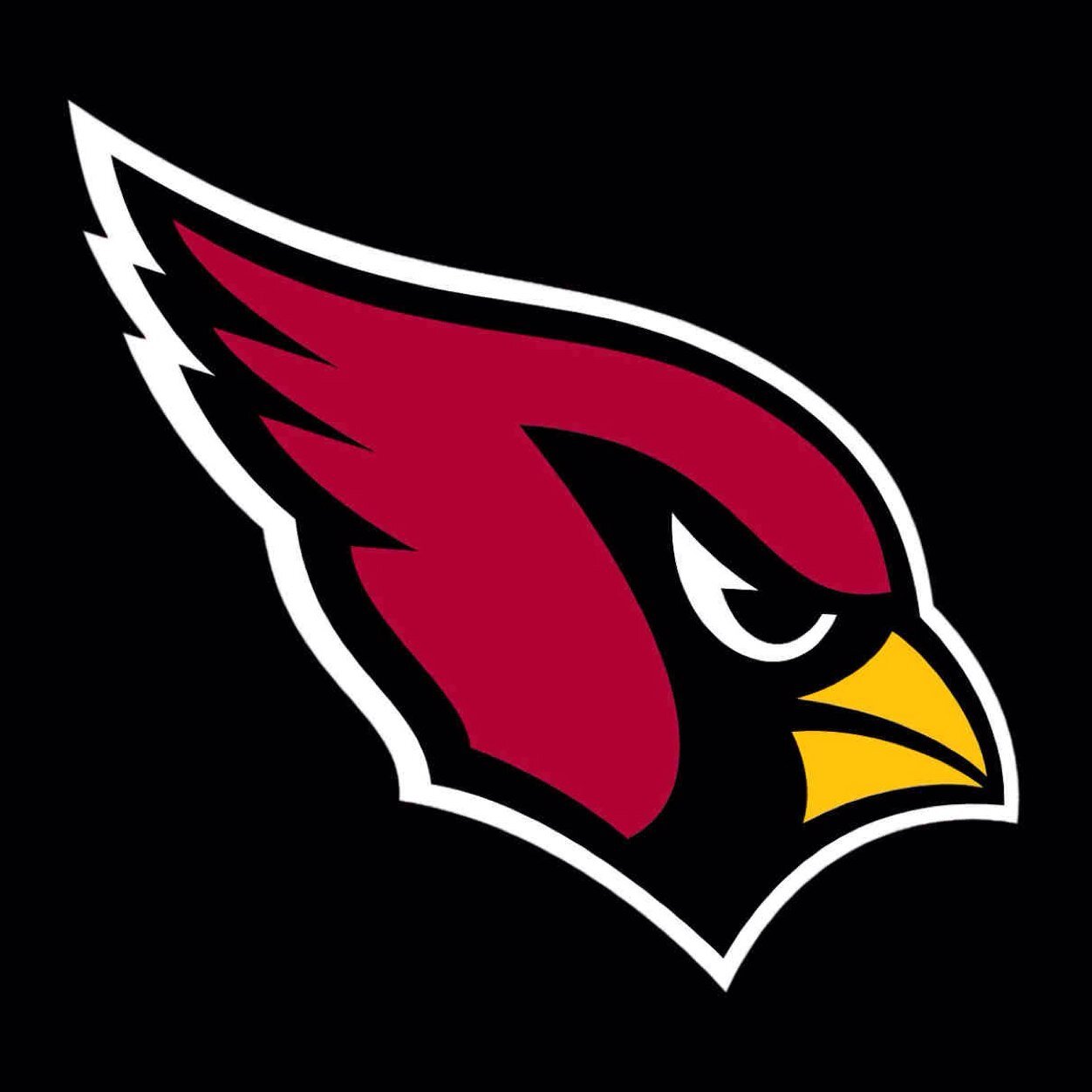 Follow the Cardinals!!!